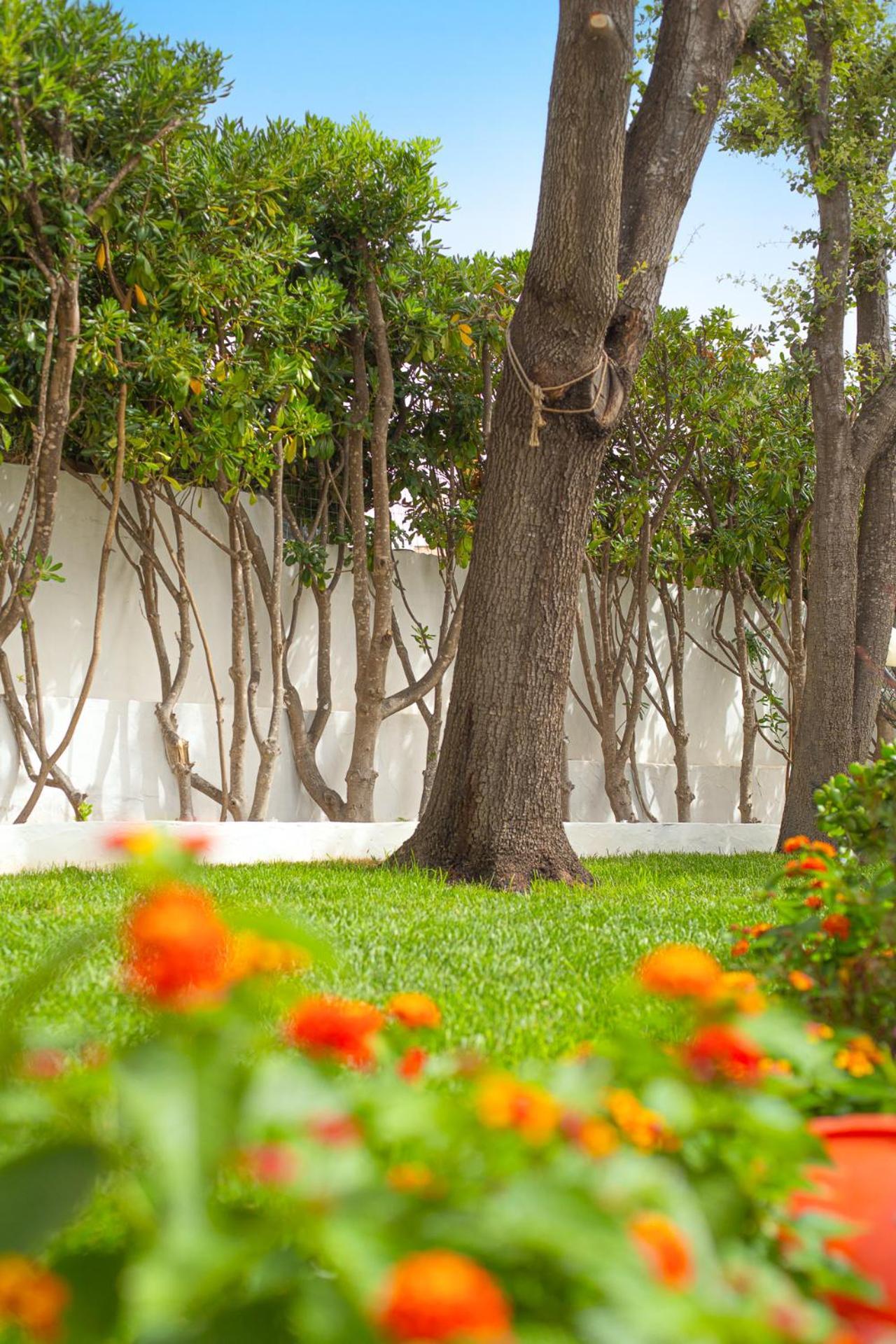 Casa Masini San Teodoro Apartment Monte Petrosu Ngoại thất bức ảnh